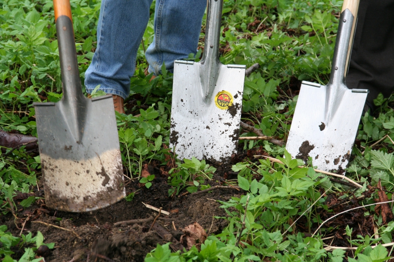 pepiniere-CANNES-min_work-lawn-flower-tool-green-backyard-1103633-pxhere.com